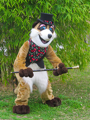 Kinko posing in the Bamboo.